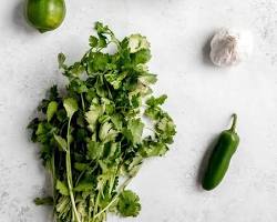 The Ultimate Guide to Creamy Cilantro Chimichurri: Herbaceous, Zesty & Totally Addictive 1 images 1